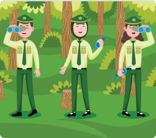 Лесное дело