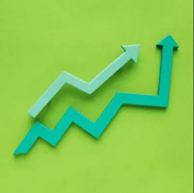 Повышение эффективности осуществления федеральными органами исполнительной власти возложенных на них функций контроля (надзора)