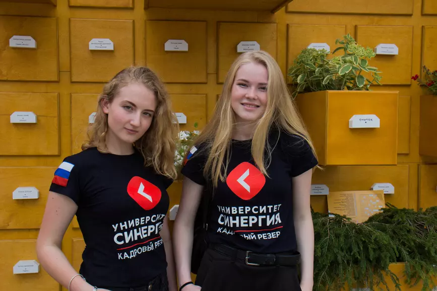 Как писать эссе?