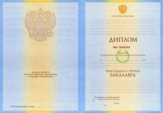 диплом синергия