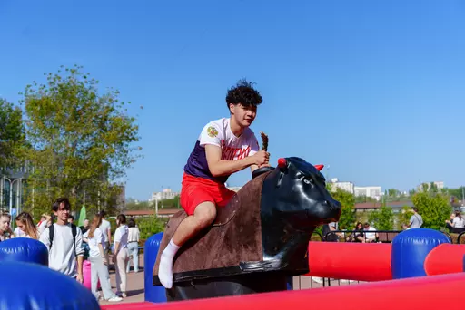 IT-вузы в Чехове: куда поступить, чтобы стать айтишником