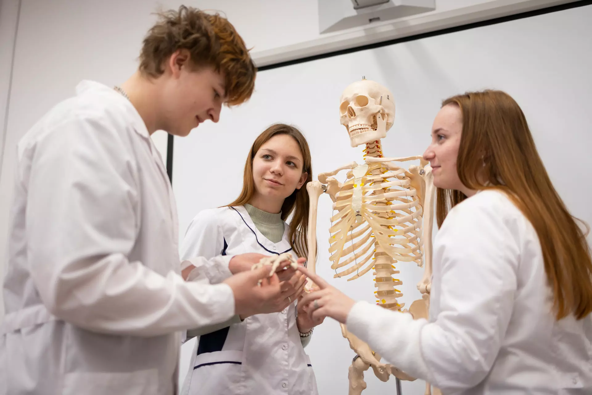 Стоит ли учиться на врача: трудный, но захватывающий путь в медицину