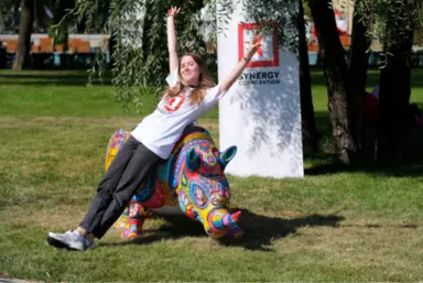 Можно ли подготовиться к ЕГЭ по истории за год